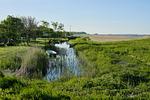 Landschaft - Apartment "Pine Hill Green" - Top-Hundeurlaub