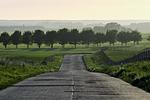 Landschaft - Apartment "Pine Hill Green" - Top-Hundeurlaub