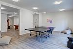 Spielanlage - Apartment "Pine Hill Green" - Top-Hundeurlaub
