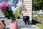 Hauptansicht - Ferienhaus "Pier 99" (99) - Top-Hundeurlaub