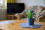 Ferienwohnung Boje 10 - Top-Hundeurlaub