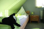 Ferienhaus Nordseeperle - Top-Hundeurlaub