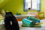 Ferienhaus Strandperle - Top-Hundeurlaub