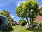 Gartenblick - Gulfhof Butendiek - Melkkammer - Top-Hundeurlaub