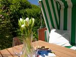 Terrasse - Gulfhof Butendiek - Melkkammer - Top-Hundeurlaub