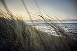 Strand - Villa Azure I - Top-Hundeurlaub