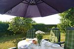 Garten - Ferienhaus Strandflieder - Top-Hundeurlaub