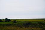 Nachbarschaft - Ferienhaus Strandflieder - Top-Hundeurlaub