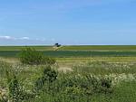 Landschaft - Ferienhaus Strandflieder - Top-Hundeurlaub
