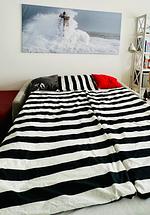 1655 - Zum Leuchtturm - Top-Hundeurlaub