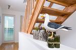Dekoratives Detail - Meeresbrise - Top-Hundeurlaub