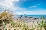 Strand - Windlandkoje - Top-Hundeurlaub