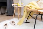 Dekoratives Detail - Apartment Cappel Whg. 16 - Top-Hundeurlaub