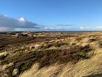 Landschaft - Fewo 2 EG Sylt Westerland - Top-Hundeurlaub