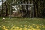 Garten - Villa Seeblick - Top-Hundeurlaub