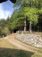 tolle Spaziergänge in einer herrlichen Landschaft - Vero - Top-Hundeurlaub