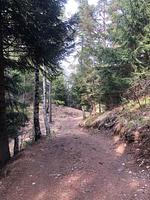 erholsame Spaziergänge in einer tollen Natur - Vero - Top-Hundeurlaub