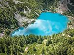 erholsame Natur mit vielen Freizeitmöglichkeiten - Vero - Top-Hundeurlaub