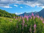 Erholen in der Natur für Naturliebhaber - Vero - Top-Hundeurlaub
