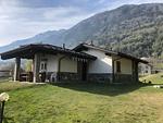 Hauptansicht - Vero - Top-Hundeurlaub