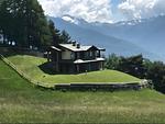 Hauptansicht - Vero - Top-Hundeurlaub