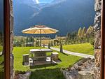 Garten - Lago Pirola - Top-Hundeurlaub