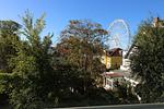Gartenblick - Appartementanlage Ostseeblick - Fewo Wustrow 51 - Top-Hundeurlaub