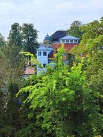 Gartenblick - Appartementanlage Ostseeblick - Fewo Wustrow 51 - Top-Hundeurlaub
