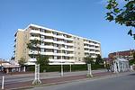 Kleines  Ankerlicht - Top-Hundeurlaub