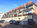 Seaside Deluxe 18 - Top-Hundeurlaub