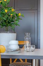 Lemon Tree - Top-Hundeurlaub