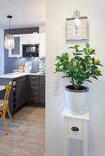 Lemon Tree - Top-Hundeurlaub