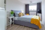 Lemon Tree - Top-Hundeurlaub