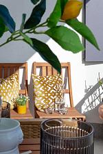 Lemon Tree - Top-Hundeurlaub