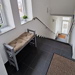 Strandmuschel - Top-Hundeurlaub
