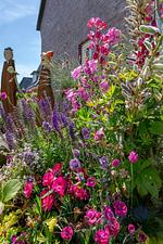 Strand Cottage - Top-Hundeurlaub