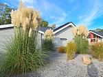 Hauptansicht - Ferienhaus "Lönneberga" im Ferienpark Holm an der Ostsee - Top-Hundeurlaub