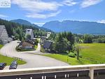 Berge - Apartment Svea by FiS - Fun in Styria - Top-Hundeurlaub