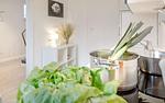 Haus Flocke - Top-Hundeurlaub