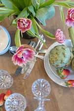 Lobster - Top-Hundeurlaub