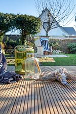 Haus Senwai - Surfside 1 - Top-Hundeurlaub