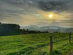Landschaft - Vinkennest am Diemelsee - Top-Hundeurlaub