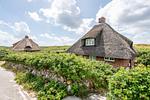 Meerblick - Haus Südkap - Top-Hundeurlaub