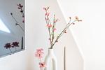 F27 Living Whg. 05 - Top-Hundeurlaub