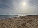 Beach Front - Top-Hundeurlaub