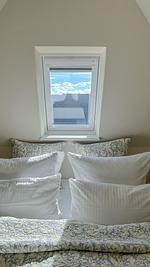 Heefwai 2 - W4 - Top-Hundeurlaub