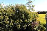 Gartenblick - Am Grün 15 Fewo 25 - Top-Hundeurlaub