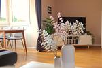 Ferienwohnung Sonnenwohnung - Top-Hundeurlaub