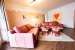 Edelrose - Top-Hundeurlaub