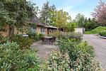 Zwischen Wald und See - Top-Hundeurlaub